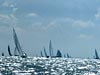 Boel scheepjes op het IJsselmeer